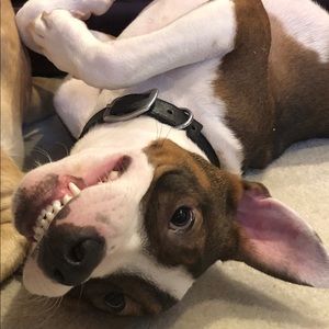 Meet your Posher, Rob